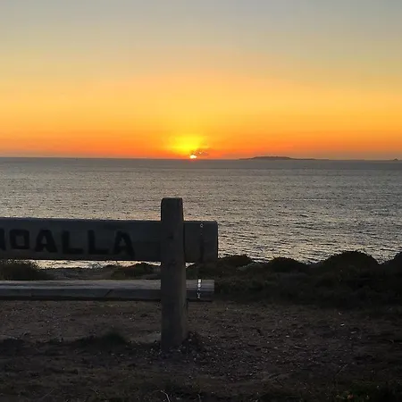 Preguntoiro سانكسينكسو