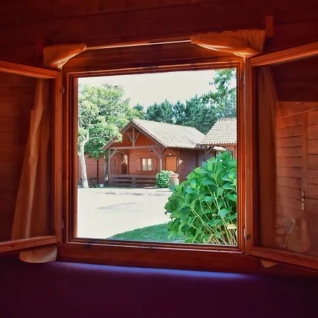 Preguntoiro * سانكسينكسو