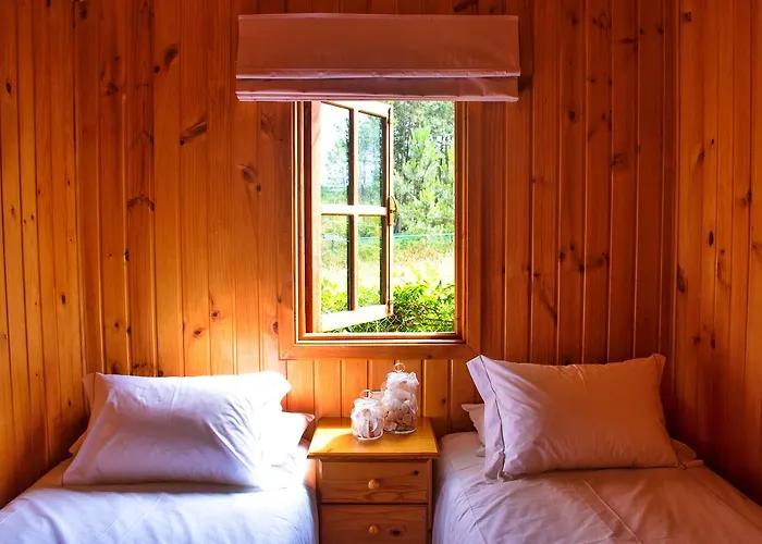 Preguntoiro Кемпинг