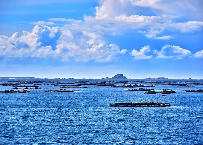 Preguntoiro Кемпинг