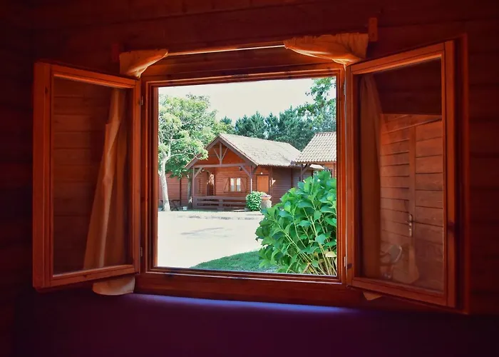 Preguntoiro * 桑亨霍